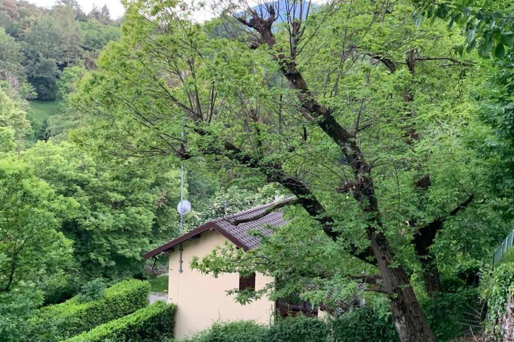 Traditional Villa Bellagio San Primo Lake Como Exterior foto